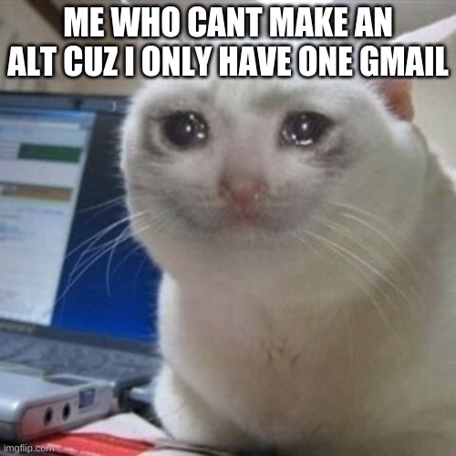 Crying cat | ME WHO CANT MAKE AN ALT CUZ I ONLY HAVE ONE GMAIL | image tagged in crying cat | made w/ Imgflip meme maker