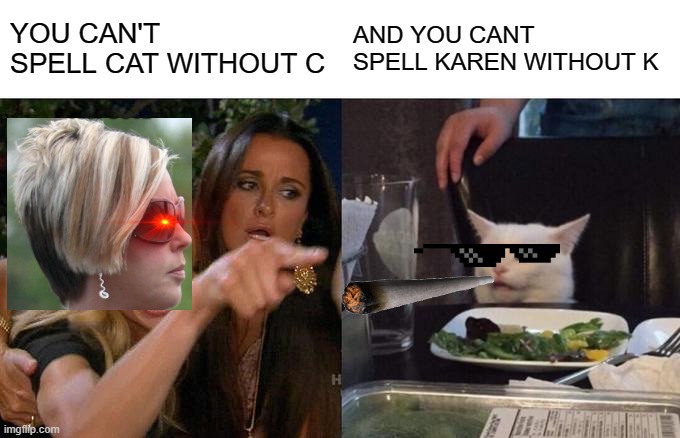 Karen fights a cat :> | YOU CAN'T SPELL CAT WITHOUT C; AND YOU CANT SPELL KAREN WITHOUT K | image tagged in memes,woman yelling at cat,karen,fyp | made w/ Imgflip meme maker