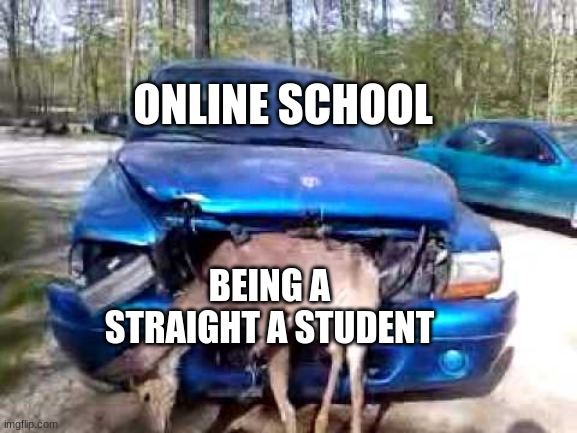 idk im bored | ONLINE SCHOOL; BEING A STRAIGHT A STUDENT | image tagged in school | made w/ Imgflip meme maker