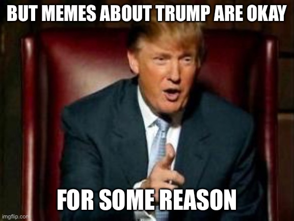 Donald Trump | BUT MEMES ABOUT TRUMP ARE OKAY FOR SOME REASON | image tagged in donald trump | made w/ Imgflip meme maker