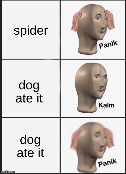 Panik Kalm Panik | spider; dog ate it; dog ate it | image tagged in memes,panik kalm panik | made w/ Imgflip meme maker