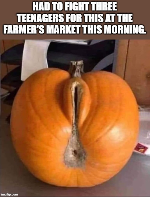 image tagged in funny | made w/ Imgflip meme maker