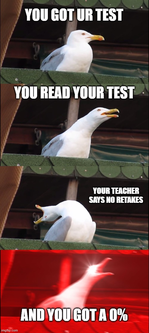 When kids get a 0 | YOU GOT UR TEST; YOU READ YOUR TEST; YOUR TEACHER SAYS N0 RETAKES; AND YOU GOT A 0% | image tagged in memes,inhaling seagull | made w/ Imgflip meme maker