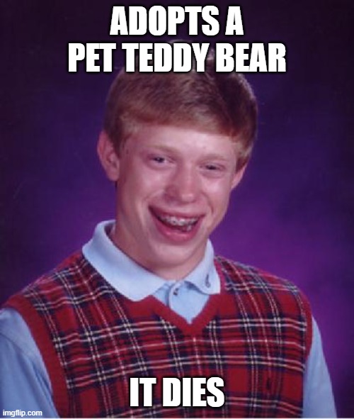 Bad Luck Brian Nerdy | ADOPTS A PET TEDDY BEAR; IT DIES | image tagged in bad luck brian nerdy | made w/ Imgflip meme maker