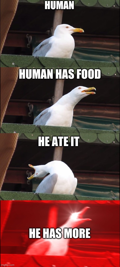Inhaling Seagull | HUMAN; HUMAN HAS FOOD; HE ATE IT; HE HAS MORE | image tagged in memes,inhaling seagull | made w/ Imgflip meme maker