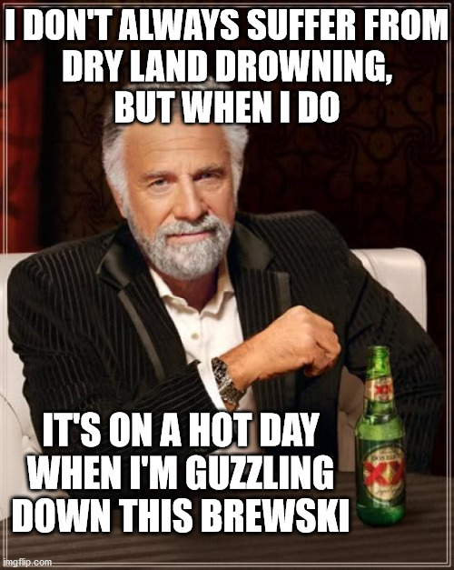 The Most Interesting Man In The World | I DON'T ALWAYS SUFFER FROM
DRY LAND DROWNING,
BUT WHEN I DO; IT'S ON A HOT DAY
WHEN I'M GUZZLING DOWN THIS BREWSKI | image tagged in memes,the most interesting man in the world,hold my beer,drowning,i don't always,no no hes got a point | made w/ Imgflip meme maker