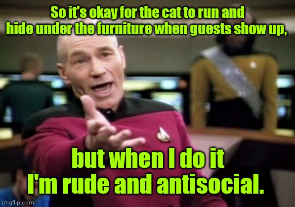 Just don't answer the door. |  So it's okay for the cat to run and hide under the furniture when guests show up, but when I do it I'm rude and antisocial. | image tagged in memes,picard wtf,mildlyfunny | made w/ Imgflip meme maker