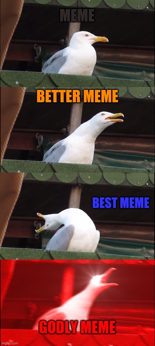 Inhaling Seagull | MEME; BETTER MEME; BEST MEME; GODLY MEME | image tagged in memes,inhaling seagull | made w/ Imgflip meme maker