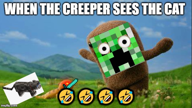 lol | WHEN THE CREEPER SEES THE CAT; 🤣🤣🤣🤣 | image tagged in bruh | made w/ Imgflip meme maker