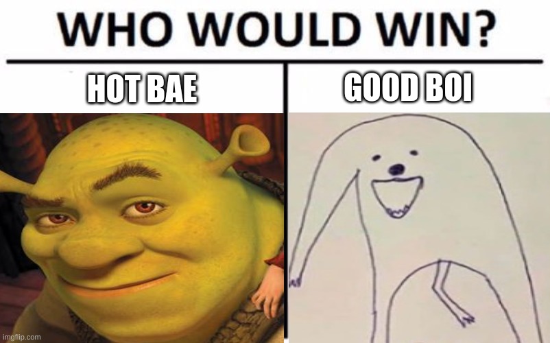 hmm | GOOD BOI; HOT BAE | image tagged in funny | made w/ Imgflip meme maker