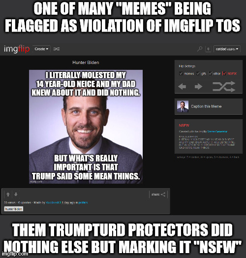 Haha! I’m Timber1972!! Go to hell you guys! EmergencyAuxillaryAccount and I_LOVE_TRUMP are my socks! Suck on THAT! | ONE OF MANY "MEMES" BEING FLAGGED AS VIOLATION OF IMGFLIP TOS; THEM TRUMPTURD PROTECTORS DID NOTHING ELSE BUT MARKING IT "NSFW" | image tagged in imgflip,mods,are,careless,assholes,timber1972 | made w/ Imgflip meme maker