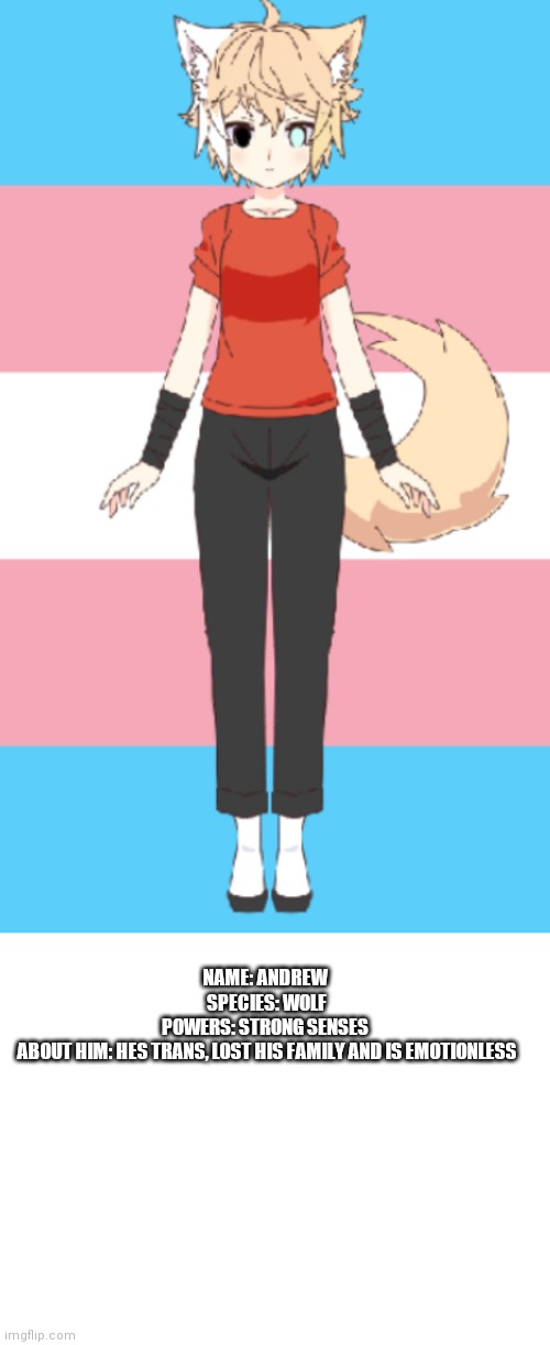 Meet andrew | NAME: ANDREW 
SPECIES: WOLF
POWERS: STRONG SENSES 
ABOUT HIM: HES TRANS, LOST HIS FAMILY AND IS EMOTIONLESS | image tagged in blank white template | made w/ Imgflip meme maker