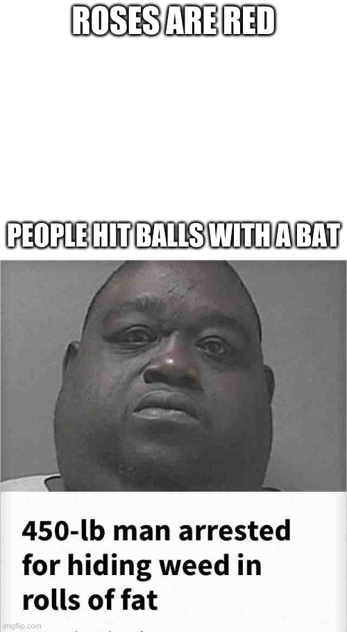 omg lol | ROSES ARE RED; PEOPLE HIT BALLS WITH A BAT | image tagged in blank white template | made w/ Imgflip meme maker