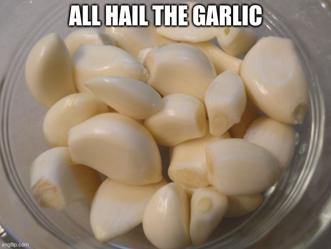 bowl of garlic | ALL HAIL THE GARLIC | image tagged in bowl of garlic | made w/ Imgflip meme maker