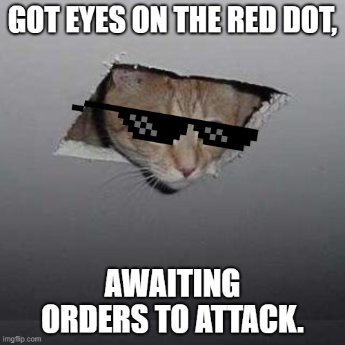 Ceiling Cat | GOT EYES ON THE RED DOT, AWAITING ORDERS TO ATTACK. | image tagged in memes,ceiling cat | made w/ Imgflip meme maker