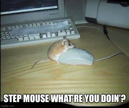 Step mouse just wants to help | STEP MOUSE WHAT’RE YOU DOIN’? | image tagged in mouse | made w/ Imgflip meme maker