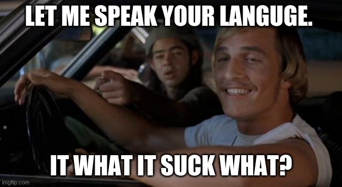 It'd Be A Lot Cooler If You Did | LET ME SPEAK YOUR LANGUAGE. IT WHAT IT SUCK WHAT? | image tagged in it'd be a lot cooler if you did | made w/ Imgflip meme maker