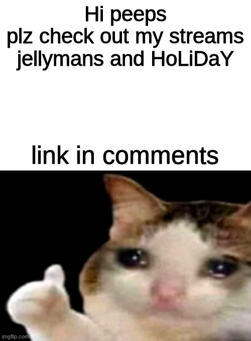 plz check them out | Hi peeps
plz check out my streams jellymans and HoLiDaY; link in comments | image tagged in sad cat thumbs up white spacing | made w/ Imgflip meme maker