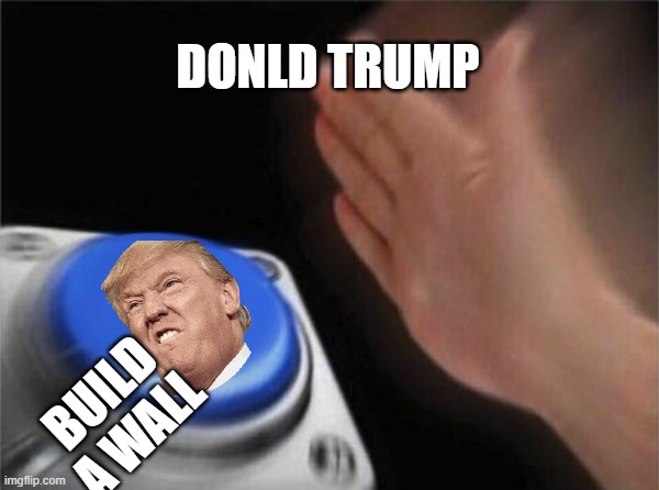 Blank Nut Button Meme | DONLD TRUMP; BUILD A WALL | image tagged in memes,blank nut button | made w/ Imgflip meme maker