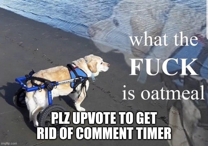 What the f**k is oatmeal | PLZ UPVOTE TO GET RID OF COMMENT TIMER | image tagged in what the f k is oatmeal | made w/ Imgflip meme maker