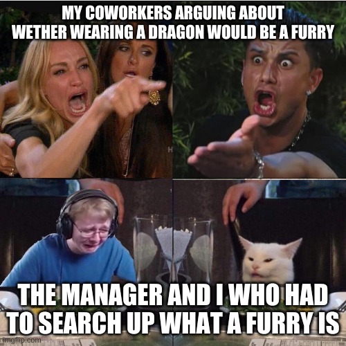 MY COWORKERS ARGUING ABOUT WETHER WEARING A DRAGON WOULD BE A FURRY; THE MANAGER AND I WHO HAD TO SEARCH UP WHAT A FURRY IS | made w/ Imgflip meme maker