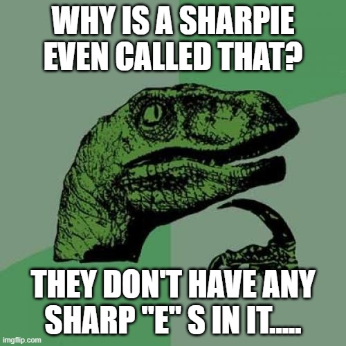 Philosoraptor Meme | WHY IS A SHARPIE EVEN CALLED THAT? THEY DON'T HAVE ANY SHARP "E" S IN IT..... | image tagged in memes,philosoraptor | made w/ Imgflip meme maker
