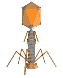 Bacteriophage Blank Meme Template