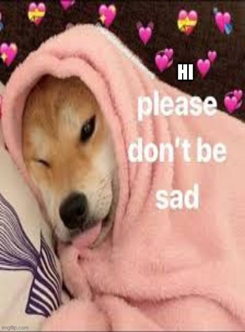 you have been blessed by wholesome doggo | HI | image tagged in good doggo | made w/ Imgflip meme maker