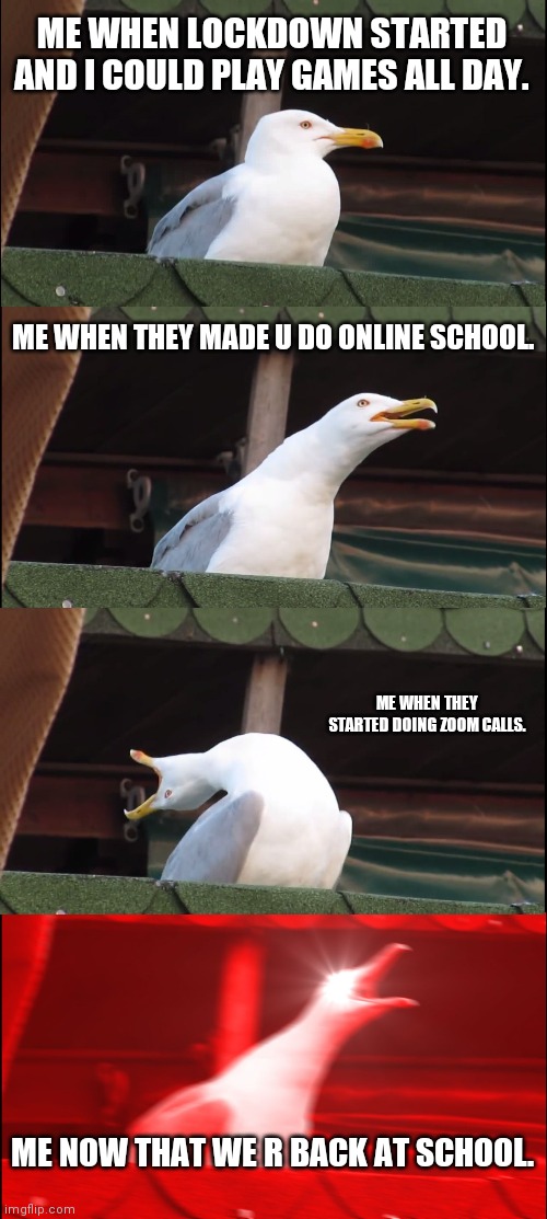 Inhaling Seagull | ME WHEN LOCKDOWN STARTED AND I COULD PLAY GAMES ALL DAY. ME WHEN THEY MADE U DO ONLINE SCHOOL. ME WHEN THEY STARTED DOING ZOOM CALLS. ME NOW THAT WE R BACK AT SCHOOL. | image tagged in memes,inhaling seagull | made w/ Imgflip meme maker