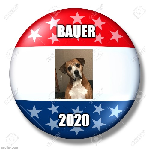 Blank for president | BAUER; 2020 | image tagged in blank for president | made w/ Imgflip meme maker