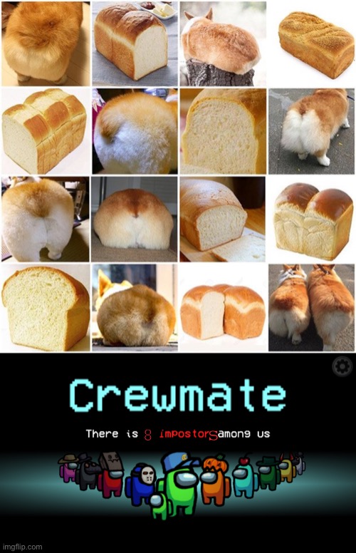 Can you spot them all? | s; 8 | image tagged in bread or corgi butt,among us crewmate | made w/ Imgflip meme maker