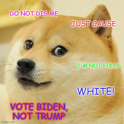 Vote Biden, cuz trump racist | DO NOT DIS ME; JUST CAUSE; I'M NOT FULLY; WHITE! VOTE BIDEN,
NOT TRUMP | image tagged in biden 2020,doge,stop racism,go biden | made w/ Imgflip meme maker
