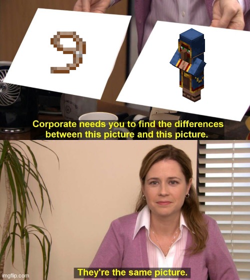 Same picture | image tagged in they are the same picture,minecraft,bruh moment | made w/ Imgflip meme maker