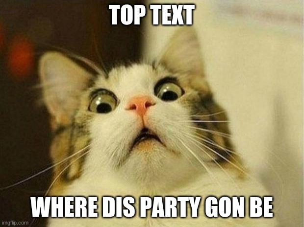 Scared Cat | TOP TEXT; WHERE DIS PARTY GON BE | image tagged in memes,scared cat,reeeeeeeeemaster7 | made w/ Imgflip meme maker