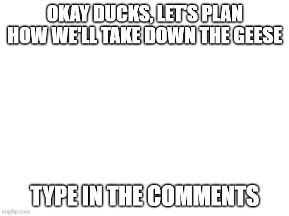 Blank White Template | OKAY DUCKS, LET'S PLAN HOW WE'LL TAKE DOWN THE GEESE; TYPE IN THE COMMENTS | image tagged in blank white template | made w/ Imgflip meme maker