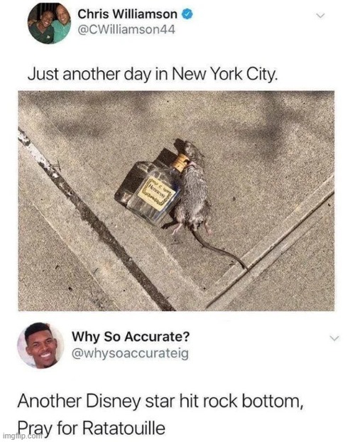 ratatioulle rip | image tagged in ratatouille,help ratatouile | made w/ Imgflip meme maker