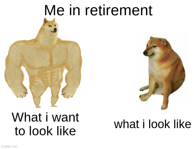 retirement belike | Me in retirement; What i want to look like; what i look like | image tagged in memes,buff doge vs cheems | made w/ Imgflip meme maker
