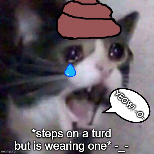 cat steps on turd | YEOW! -O-; *steps on a turd but is wearing one* -_- | image tagged in cat,turd,fyp,yeow | made w/ Imgflip meme maker