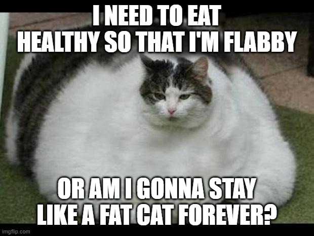 i need to be flabby untill 1:00 am-pm | I NEED TO EAT HEALTHY SO THAT I'M FLABBY; OR AM I GONNA STAY LIKE A FAT CAT FOREVER? | image tagged in fat cat 2 | made w/ Imgflip meme maker