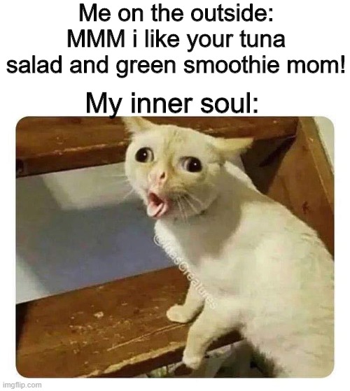 Delish food im eating | Me on the outside: MMM i like your tuna salad and green smoothie mom! My inner soul: | image tagged in coughing cat meme,fyp | made w/ Imgflip meme maker