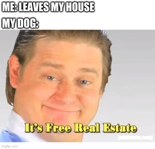 bye bish | ME: LEAVES MY HOUSE; MY DOG: | image tagged in it's free real estate | made w/ Imgflip meme maker