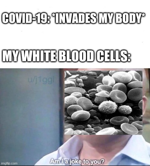 I dont have anything to say... | COVID-19: *INVADES MY BODY*; MY WHITE BLOOD CELLS: | image tagged in am i a joke to you | made w/ Imgflip meme maker