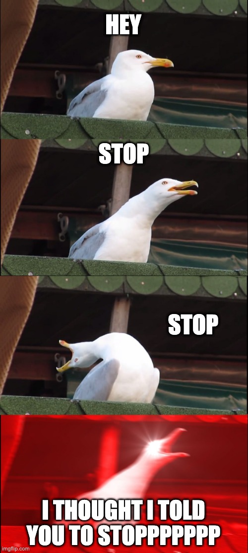 Inhaling Seagull | HEY; STOP; STOP; I THOUGHT I TOLD YOU TO STOPPPPPPP | image tagged in memes,inhaling seagull | made w/ Imgflip meme maker