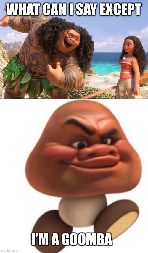 WHAT CAN I SAY EXCEPT I’M A GOOMBA | image tagged in moana maui you're welcome,maui goomba | made w/ Imgflip meme maker