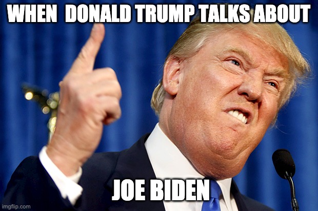 Hate you Joe Biden | WHEN  DONALD TRUMP TALKS ABOUT; JOE BIDEN | image tagged in donald trump | made w/ Imgflip meme maker