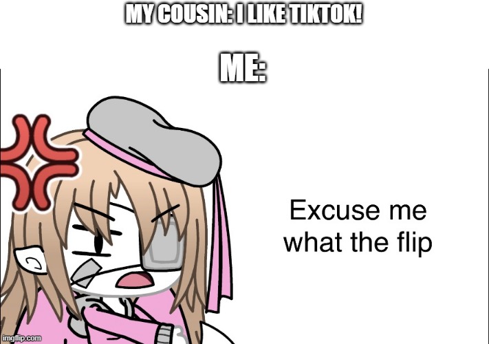 CookieUwU_Memer Excuse me what the flip | MY COUSIN: I LIKE TIKTOK! ME: | image tagged in cookieuwu_memer excuse me what the flip | made w/ Imgflip meme maker