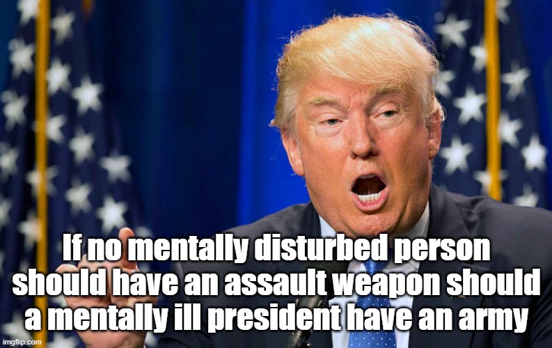 mental | If no mentally disturbed person should have an assault weapon should a mentally ill president have an army | image tagged in donald trump | made w/ Imgflip meme maker