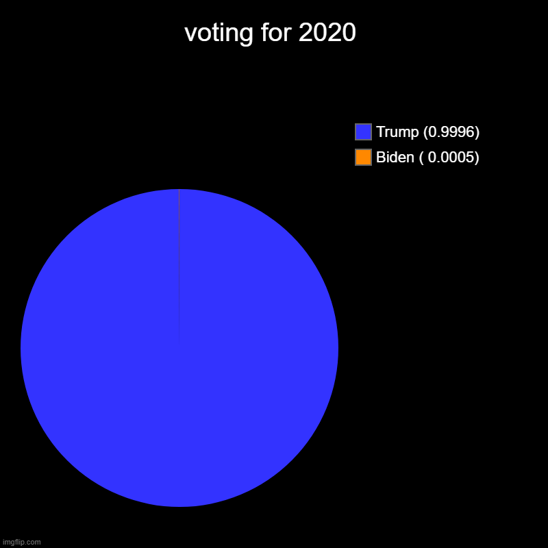 voting for 2020 | Biden ( 0.0005), Trump (0.9996) | image tagged in charts,pie charts | made w/ Imgflip chart maker