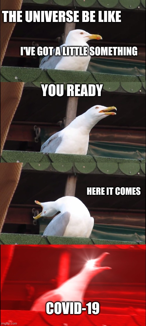 Inhaling Seagull | THE UNIVERSE BE LIKE; I'VE GOT A LITTLE SOMETHING; YOU READY; HERE IT COMES; COVID-19 | image tagged in memes,inhaling seagull | made w/ Imgflip meme maker