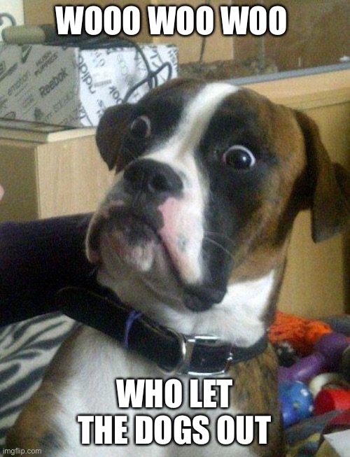 Blankie the Shocked Dog | WOOO WOO WOO WHO LET THE DOGS OUT | image tagged in blankie the shocked dog | made w/ Imgflip meme maker